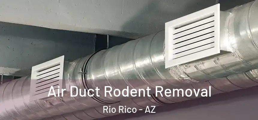  Air Duct Rodent Removal Rio Rico - AZ
