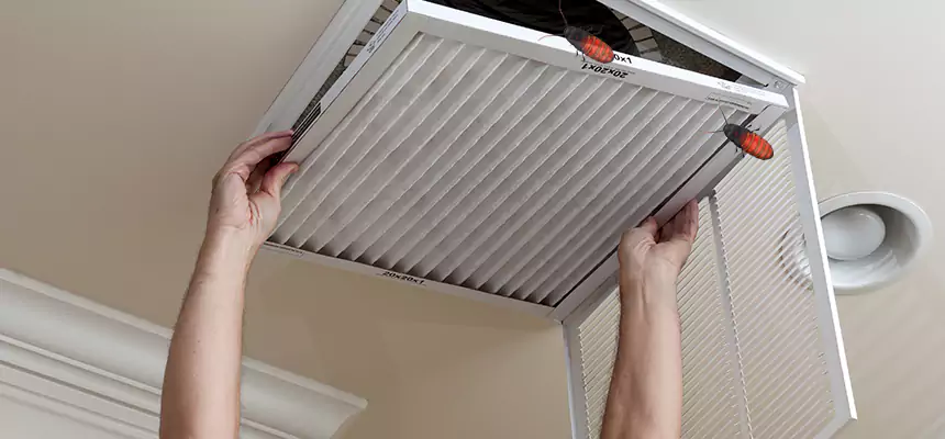 Preventive Cockroach-Proofing for Ducts in Rio Rico