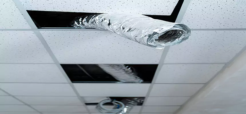 Our Air Duct Pet Hair Removal Services in Rio Rico, AZ