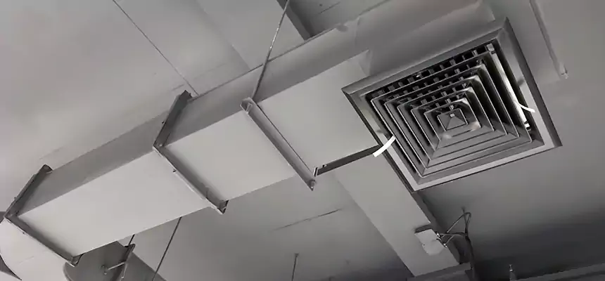 Restorative Allergy Relief Vent Cleaning – Coil, Blower & Housing Detail in Rio Rico