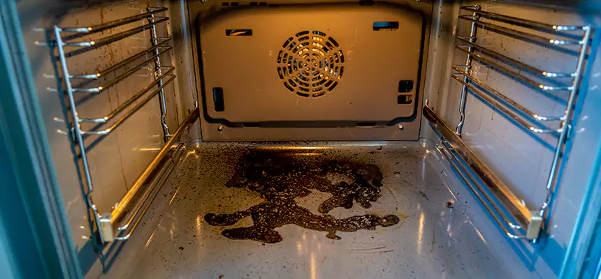 Our Dryer Vent Mold Cleaning Services in Rio Rico, AZ