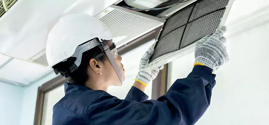 Our Mold & Mildew Removal from Air Ducts Services in Rio Rico, AZ