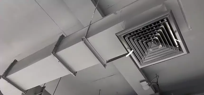 Our Pest Removal From Ducts Services in Rio Rico, AZ