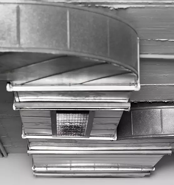 Professional Air Duct Pet Hair Removal in Rio Rico, AZ