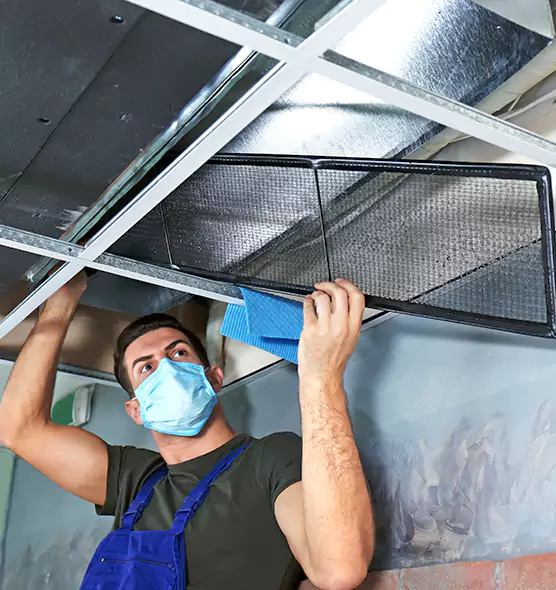 Professional Air Duct Pollen Cleaning in Rio Rico, AZ