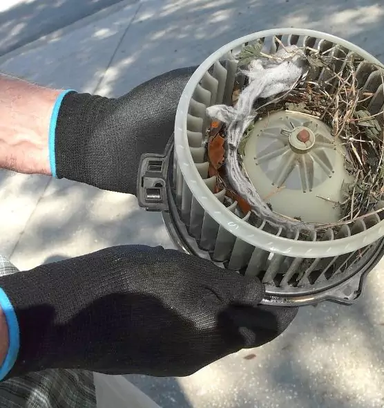 About Air Duct Rat Removal in Rio Rico, AZ