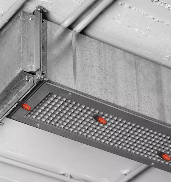 Affordable Insect Removal from Air Ducts in Rio Rico, AZ