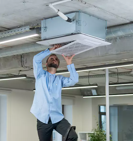 Advanced Rodent Droppings In Vents in Rio Rico, AZ