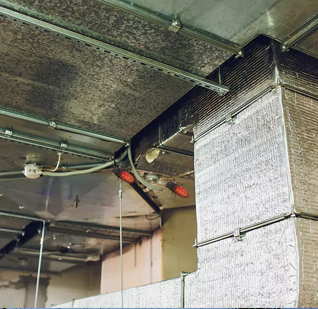 Why Homeowners & Businesses Trust Us in Rio Rico, AZ?