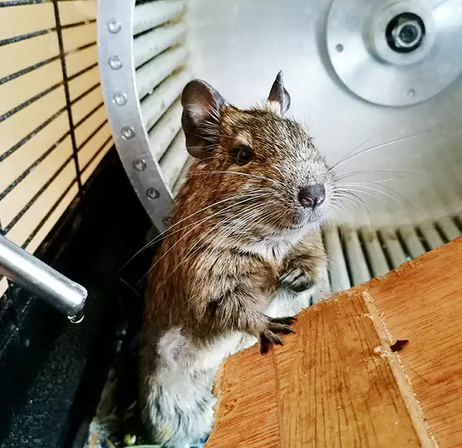 Why Homeowners & Businesses Trust Us Rio Rico, AZ?