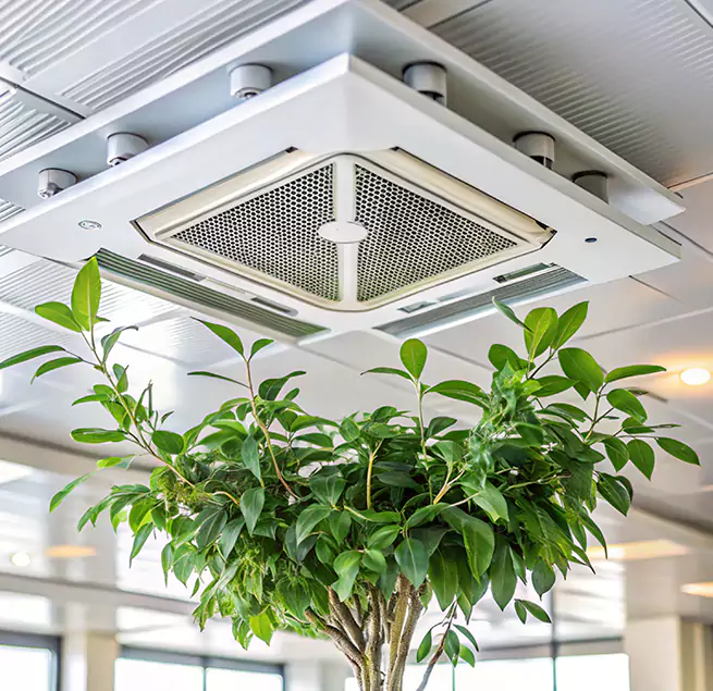 Why Homeowners & Businesses Trust Us in Rio Rico, AZ?