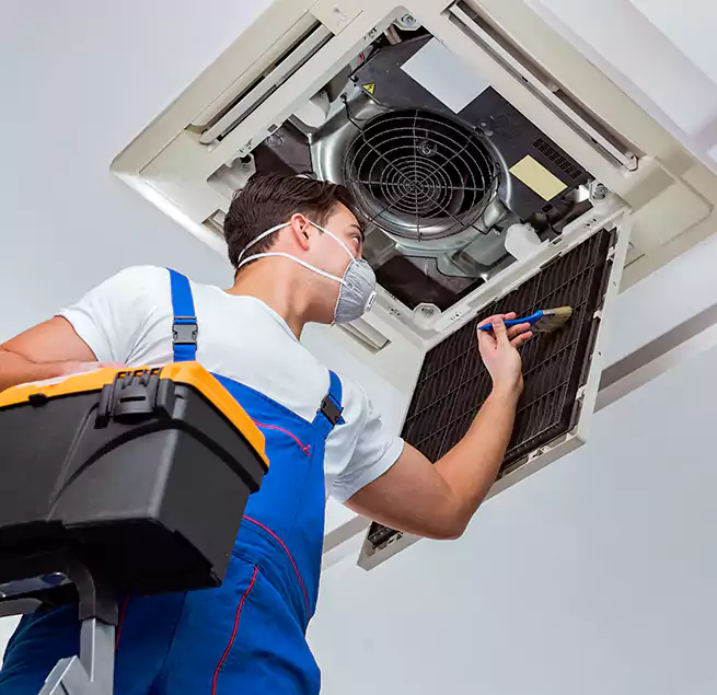 Why Homeowners & Businesses Trust Us in Rio Rico, AZ?